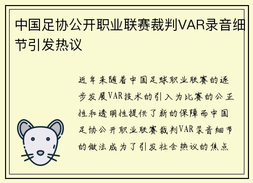 中国足协公开职业联赛裁判VAR录音细节引发热议